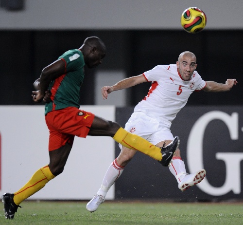 控三角草与 控三角草与