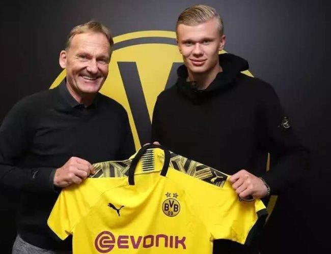 球和背飞撕 球和背飞撕